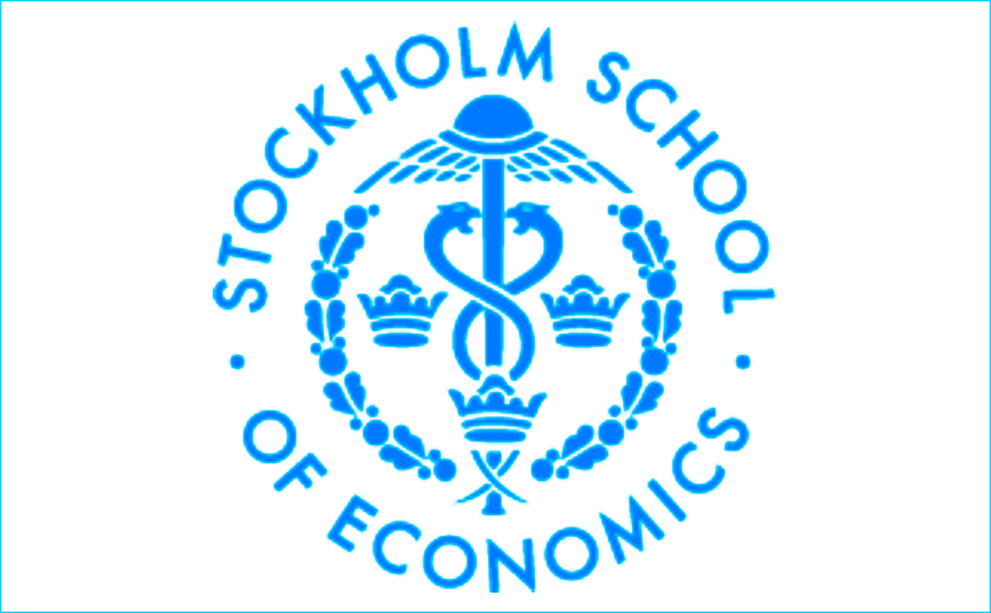 Gerhard Fasol at Stockholm School of Economics